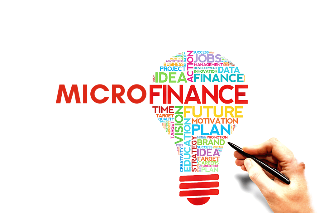 micro-finance management